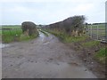 Byway from Burgh-by-Sands to Thurstonfield in CA5 6AP
