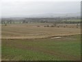 Arable land near Netherton in DD9 6SL