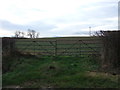 Field entrance off Back Lane in Heighington & Coniscliffe Ward