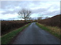 Heading north west on Back Lane in Heighington & Coniscliffe Ward