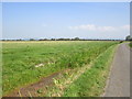 Field and drain alongside Pill Road in TA9 4PD
