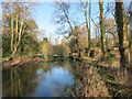 Footbridge over the Lambourn in RG14 1UT