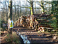 Timber stack, Stanley Common in GU30 7LL