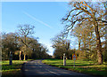 Avenue of Oaks, Bucklebury, Berkshire in RG7 6JS