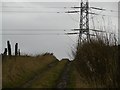 Pylon, Angus Hill in DD8 3PJ