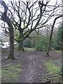 Footpath into Honley Wood from Bent Ley Road, Meltham in HD4 7DQ