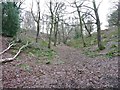 Footpath in a dry valley, Honley Wood, Meltham in HD4 7DQ