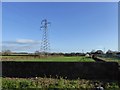 Pylon and lines near Brook Farm, North Petherton in TA6 6NA