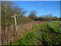 Bridleway beside the Arun with footpath junction in RH12 3PJ