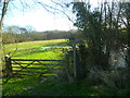 Looking into wet field beside the Arun in RH12 3PJ