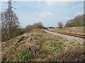 Discarded and operational track, Chasewater light railway in WS11 9UG