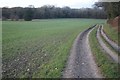 Track by Great Wildcroft Field in RG22 5QA