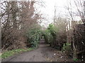 Footpath by the allotments in S13 9HQ