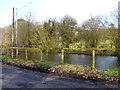 Roadside pond in GU35 8SY