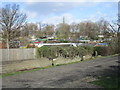 Allotments at Handsworth in S13 8TJ