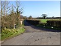 Road to Newcotts Farm from Maunsel Higher Lock in TA7 0DG