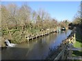 Moorings at Maunsel Lock on Bridgwater and Taunton Canal in TA7 0DQ