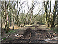 Track into Gazebo Covert in NR13 6LD