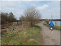 Chasewater railway and the footpath cross the reservoir by a causeway in WS11 9SW