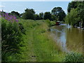 Trent & Mersey Canal towpath at Wheelock in CW11 3WA