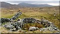 Sheep folds near the summit of Moel y Geifr in LL47 6YB