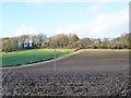 Fields below Northfield Hill in GU34 3RD