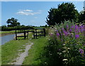 Gate along the Trent & Mersey Canal towpath in CW11 3QX