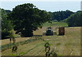 Harvesting the crops next to the Trent & Mersey Canal in CW11 3QX