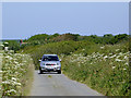 Lane to Hartland in Devon in EX39 6EY
