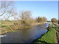 Bridgwater and Taunton Canal seen from King's Lock in TA7 0BB