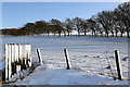 Winter farmland at Selkirk Common in TD7 4NW