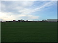 Recreation ground, Leeholme in DL14 8HT
