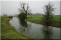 The River Thames near its source in GL7 6NZ