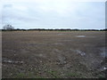Flat farmland, The Moors in YO25 8TR