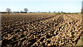 Fields west of Honeypot Wood in NR19 2RE