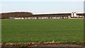 Turkey house surrounded by crop fields in NR19 2ND