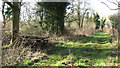 Track traversing Honeypot Wood in NR19 2RE