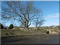 Looking across to the churchyard of St Paulinus, Crayford in DA1 4SJ