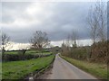 Wide verges of the road west of Primmore Corner in TA7 0BY