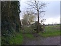Track and gate west of Adsborough in TA2 8RW