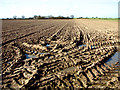 Cultivated field west of Longham Hall in NR19 2RJ