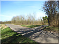 Litcham Road/Salter's Lane junction in NR19 2RJ