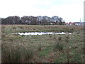 Pond near North Park Lodge Farm in DL16 7EU