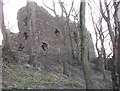 Ruins of Ravenscraig Castle in AB42 3DS