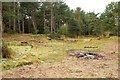 Site of camp fire, Holkham Meals in NR23 1RN