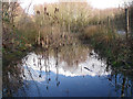 Gamesley Woodlands (wildlife pond) in SK13 5HB