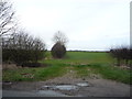Field entrance off Allison Lane (B1242) in YO25 8TR