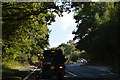 Roadworks on the A339 in RG20 4AF