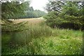 Marsh above Wellfield in KY14 7SX