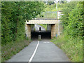 Foot and cycle path under A414 in CM1 3BP